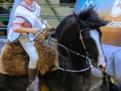 Menina que doma cavalos, ganha competição e escreve carta para Jesus