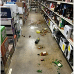 Guaxinim invade loja de bebidas, faz a festa, deixa estragos e sai completamente bêbado