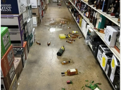 Guaxinim invade loja de bebidas, faz a festa, deixa estragos e sai completamente bêbado