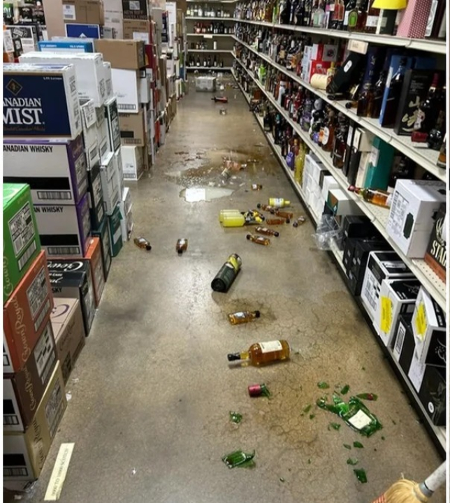 Guaxinim invade loja de bebidas, faz a festa, deixa estragos e sai completamente bêbado