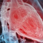 Cardiologista aponta sintomas que podem indicar problema no coração; VEJA