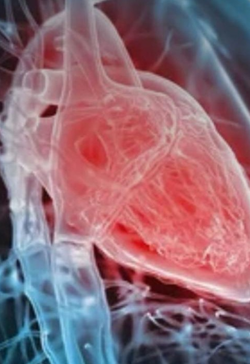 Cardiologista aponta sintomas que podem indicar problema no coração; VEJA