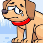 Queda nas doações e animais com muitas necesdidades: Nmalls continua com campanha para arrecadação de rações para ONGs que cuidam de cães e gatos em Marília. Sua ajuda é fundamental