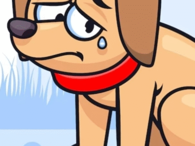 Queda nas doações e animais com muitas necesdidades: Nmalls continua com campanha para arrecadação de rações para ONGs que cuidam de cães e gatos em Marília. Sua ajuda é fundamental