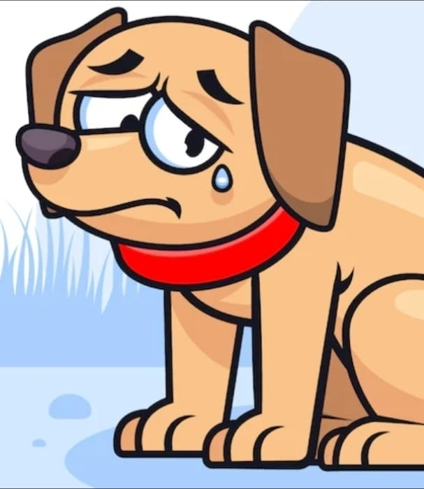 Queda nas doações e animais com muitas necesdidades: Nmalls continua com campanha para arrecadação de rações para ONGs que cuidam de cães e gatos em Marília. Sua ajuda é fundamental