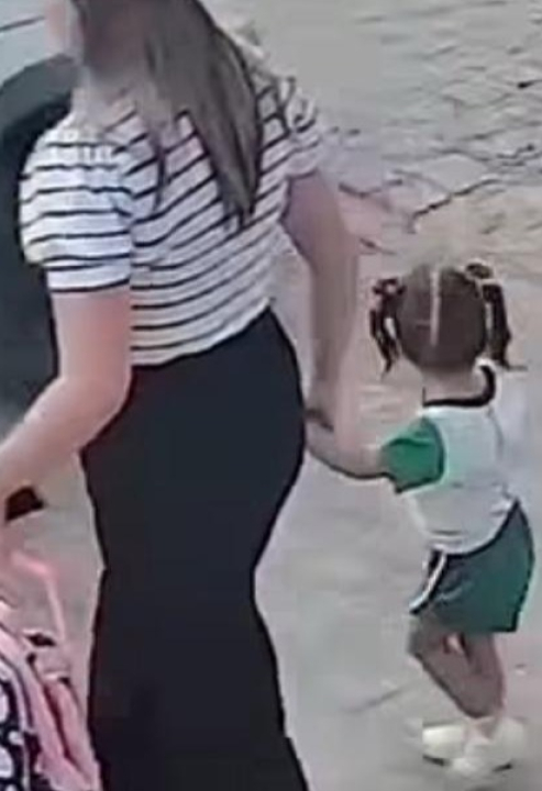MOMENTO DE TERROR: mulheres lutam com pitbull que ataca seus filhos em entrada de escola; VEJA VÍDEO