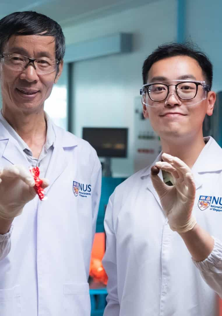 Novo chocolate? Cacau alternativo atinge nível próximo de sabor