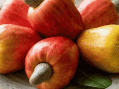 O tesouro tropical que nutre os ossos, melhora o colágeno e reduz inflamações; VEJA TODOS BENEFÍCIOS