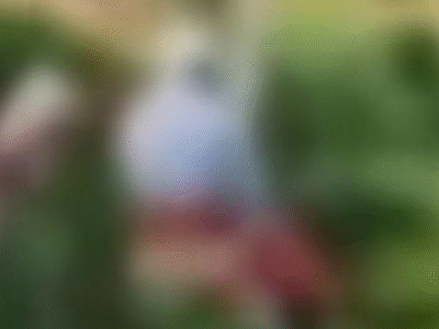 Casal de idosos é flagrado tendo relações sexuais em matagal