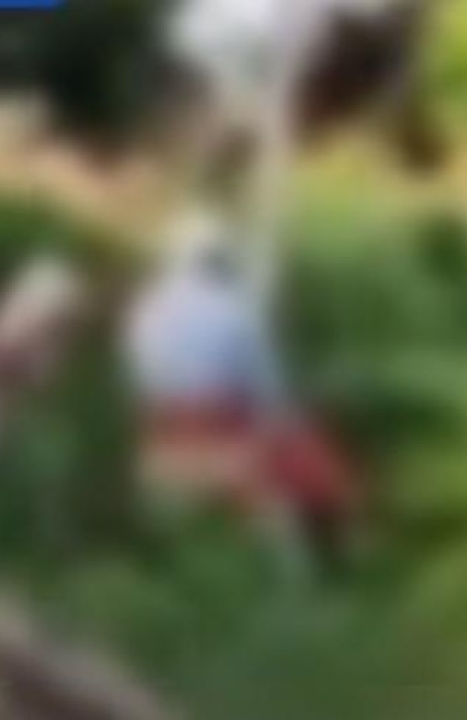 Casal de idosos é flagrado tendo relações sexuais em matagal