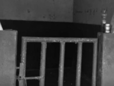 Funcionários de fazenda do dono da Brooksfield eram alojados em curral