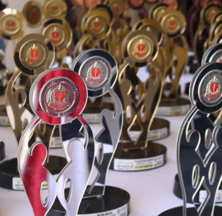 SELJ fecha 2025 com expansão histórica, recorde de alunos e conquistas em nível estadual e nacional. As equipes municipais Acumulam títulos ao longo do ano