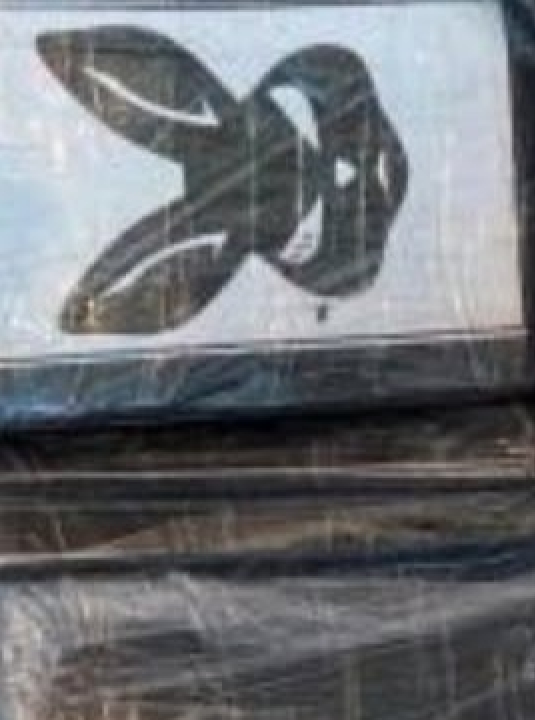 Faxineiros usavam sala vip de aeroporto para traficar droga, diz PF