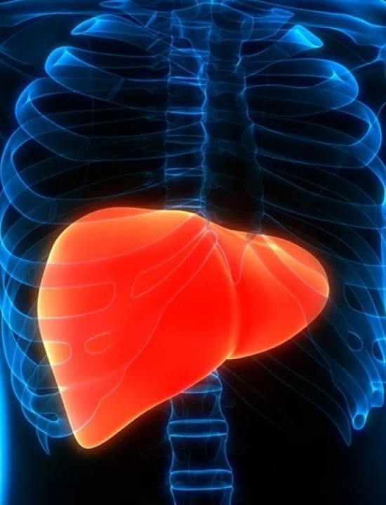Gordura no fígado: como identificar os sintomas da doença silenciosa