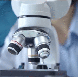 Quatro pesquisas de 2025 que podem transformar o cuidado em saúde. Novos Estudos revelam avanços na medicina que vão de rins de porco em transplantes a remédios totalmente criados por IA