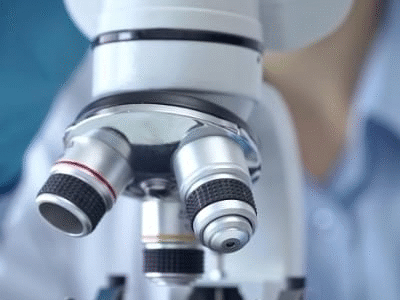 Quatro pesquisas de 2025 que podem transformar o cuidado em saúde. Novos Estudos revelam avanços na medicina que vão de rins de porco em transplantes a remédios totalmente criados por IA