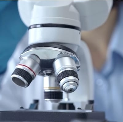 Quatro pesquisas de 2025 que podem transformar o cuidado em saúde. Novos Estudos revelam avanços na medicina que vão de rins de porco em transplantes a remédios totalmente criados por IA