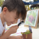 INOVAÇÃO TECNOLÓGICA E A EXCELÊNCIA NO APRENDIZADO: O PAPEL DA ESCOLA NA FORMAÇÃO DOS ESTUDANTES E OS DIFERENCIAIS DO CRIATIVO QUE O TORNAM REFERÊNCIA EM MARÍLIA