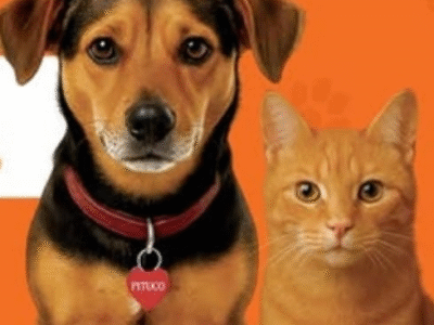 Com estoques críticos e abandono em alta, Nmalls convoca Marília para mobilização emergencial em benefício a pets abandonados. Meta é arrecadar 4.000 quilos para 4 ONGs da cidade. Você pode salvar vidas