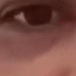 Empresário petista grava vídeo pedindo desculpas a Bolsonaro por não ter votado nele; VEJA VÍDEO