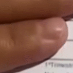 Suposto aluno de Santa Catarina passa de ano com notas baixas e recebe R$ 1 mil do Pé-de-meia; VEJA VÍDEO