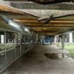 Congresso corta verba de universidades federais, que terão quase R$ 400 milhões a menos