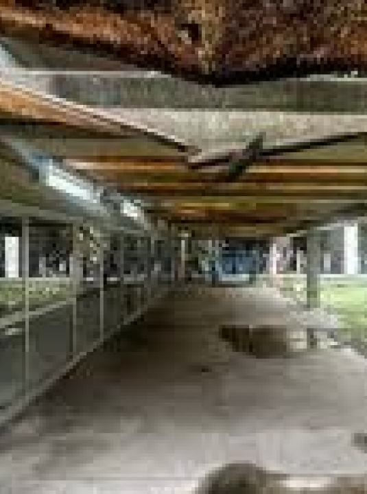 Congresso corta verba de universidades federais, que terão quase R$ 400 milhões a menos