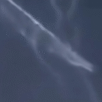 Brasileiro surfa onda gigante e pode ter batido recorde internacional; VEJA VÍDEO