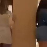 Senadora faz compras em loja de luxo nos EUA com lobista enrolado; VEJA VÍDEO