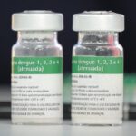8 perguntas e respostas sobre a vacina da dengue do Instituto Butantan que começa a ser aplicada na população. Imunizante de São Paulo é o primeiro em dose única do mundo