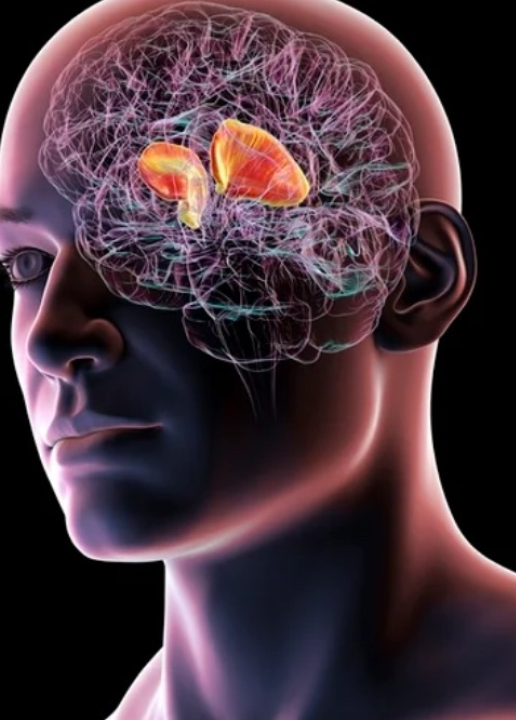 Neurocirurgião cita como o chá e o café ajudam a reduzir risco de AVC