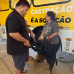 Causa Animal: Secretarias iniciam atendimento no Castramóvel para os agendamentos feitos em dezembro. Ontem fora 150 animais. Veja horários e locais de hoje e amanhã