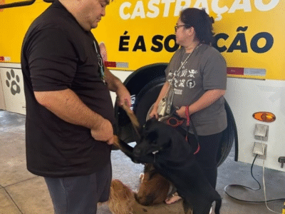 Causa Animal: Secretarias iniciam atendimento no Castramóvel para os agendamentos feitos em dezembro. Ontem fora 150 animais. Veja horários e locais de hoje e amanhã