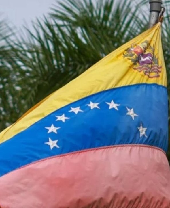 Brasil entrega 40 toneladas de insumos médicos para a Venezuela