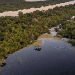 A Amazônia não é o pulmão da Terra, diz a Ciência