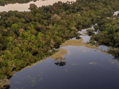 A Amazônia não é o pulmão da Terra, diz a Ciência