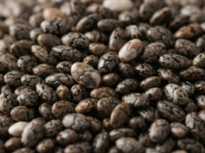 VÍDEO: Quem deve evitar o consumo de chia segundo especialistas em saúde; ENTENDA MOTIVO