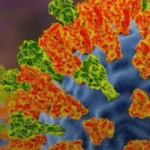 Risco de novos surtos: os vírus que a ciência está de olho em 2026