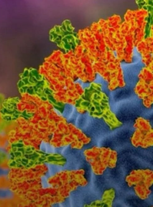 Risco de novos surtos: os vírus que a ciência está de olho em 2026