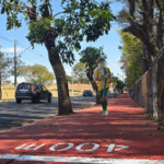 Projeto “Planta Aí” incentiva arborização planejada nas calçadas de Marília. Iniciativa orienta moradores sobre o plantio correto de árvores e promove um futuro mais verde para a cidade