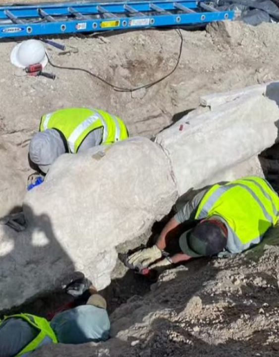 Fóssil gigante de dinossauro é achado durante obras em estacionamento nos EUA