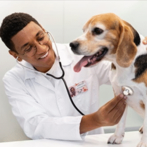 Mestrado Profissional da Unimar é aprovado com nota 4 na avaliação da CAPES. Reconhecimento reforça compromisso institucional com a pesquisa, a inovação e a formação de profissionais qualificados