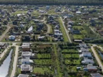 Como é o bairro na Holanda onde moradores são ‘obrigados’ a ter uma horta