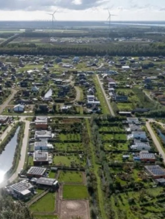 Como é o bairro na Holanda onde moradores são ‘obrigados’ a ter uma horta