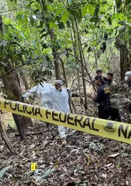 Enquanto o governo exalta queda no desmatamento, facções avançam nos principais biomas do país e desafiam autoridades