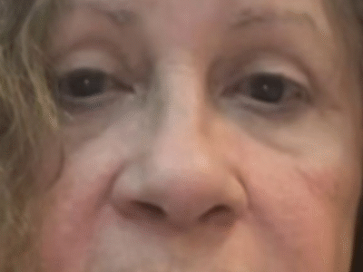 Gato toma lugar de mulher em avião que é obrigada a desembarcar; VEJA VÍDEO