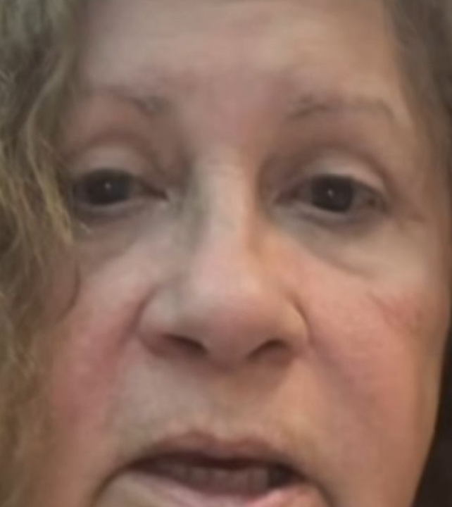 Gato toma lugar de mulher em avião que é obrigada a desembarcar; VEJA VÍDEO