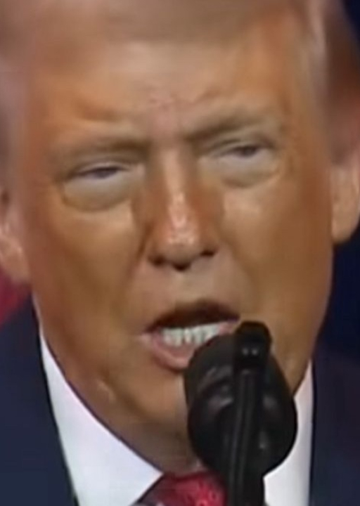 Trump diz que ativistas pró-Venezuela são ‘pessoas mais feias’ que já viu; Veja vídeo