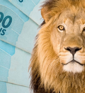 Movimentações via PIX: 5 cuidados práticos para não cair na malha fina da Receita Federal