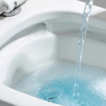 Poucos sabem por que recomendam jogar água sanitária no vaso pelo menos uma vez por semana